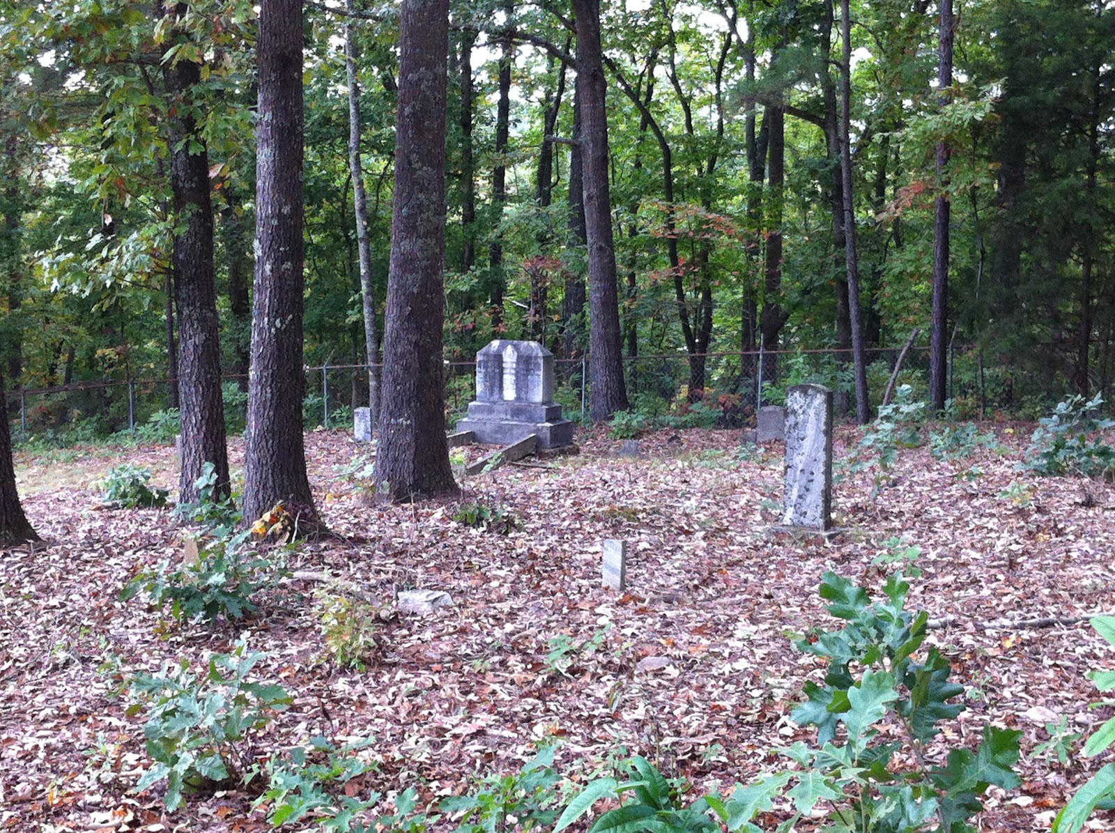Backyard Historian Enon Cemetery
