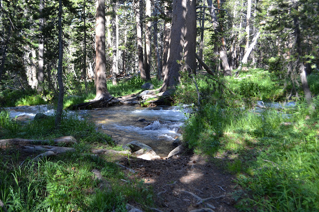 rushing water out of French Canyon