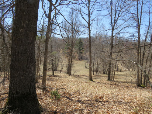 early spring valley