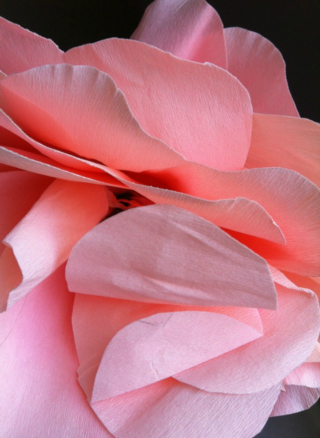 paper-rose paper-flower