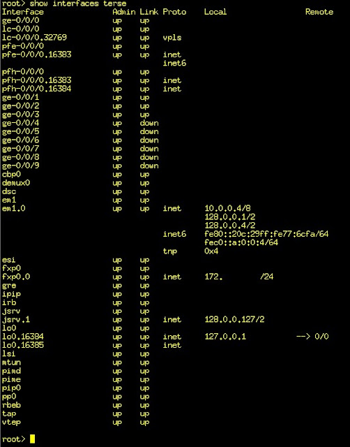 the peering xchange [a network engineer’s blog] Juniper vMX on