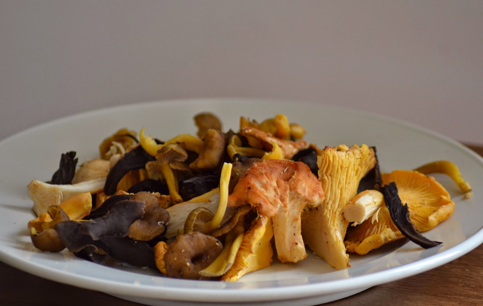 Ragout van bospaddenstoelen Kookvakantie in Frankrijk Kook en