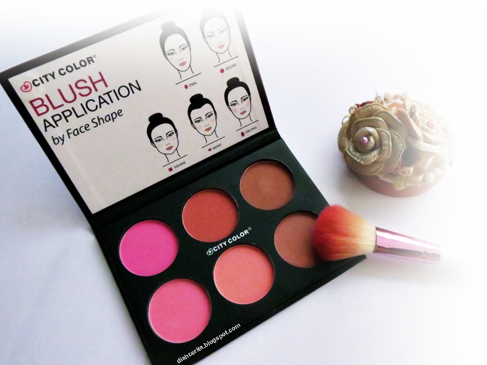 REVIEW City Color Blush Palette Matte Collection