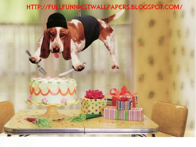 http://4.bp.blogspot.com/-mVAyOV3mLrM/TtSEytpIpcI/AAAAAAAADtI/a0oLvZ68j4s/s640/funny-dog-happy-birthday.jpg