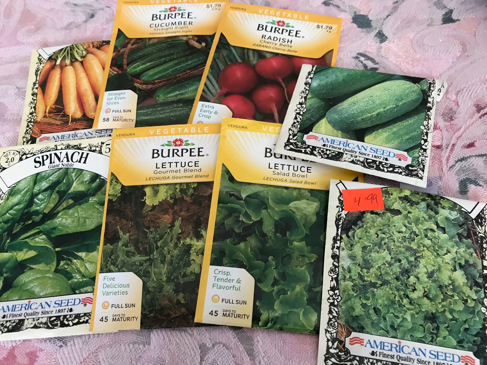 Growing Seeds Indoors Julie's Creative Lifestyle