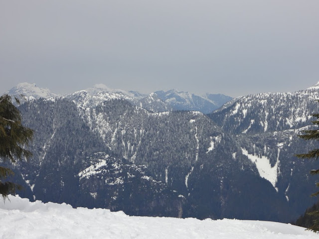 views from mt. seymour