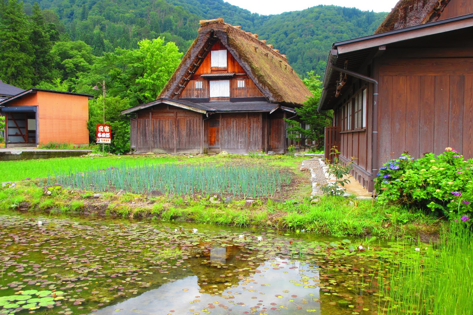 travelling japanese countryside