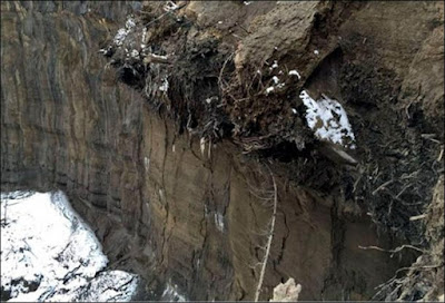 Почва на 200 000 години намерена в сибирска "врата към Ада" Ecology-of-the-North_0