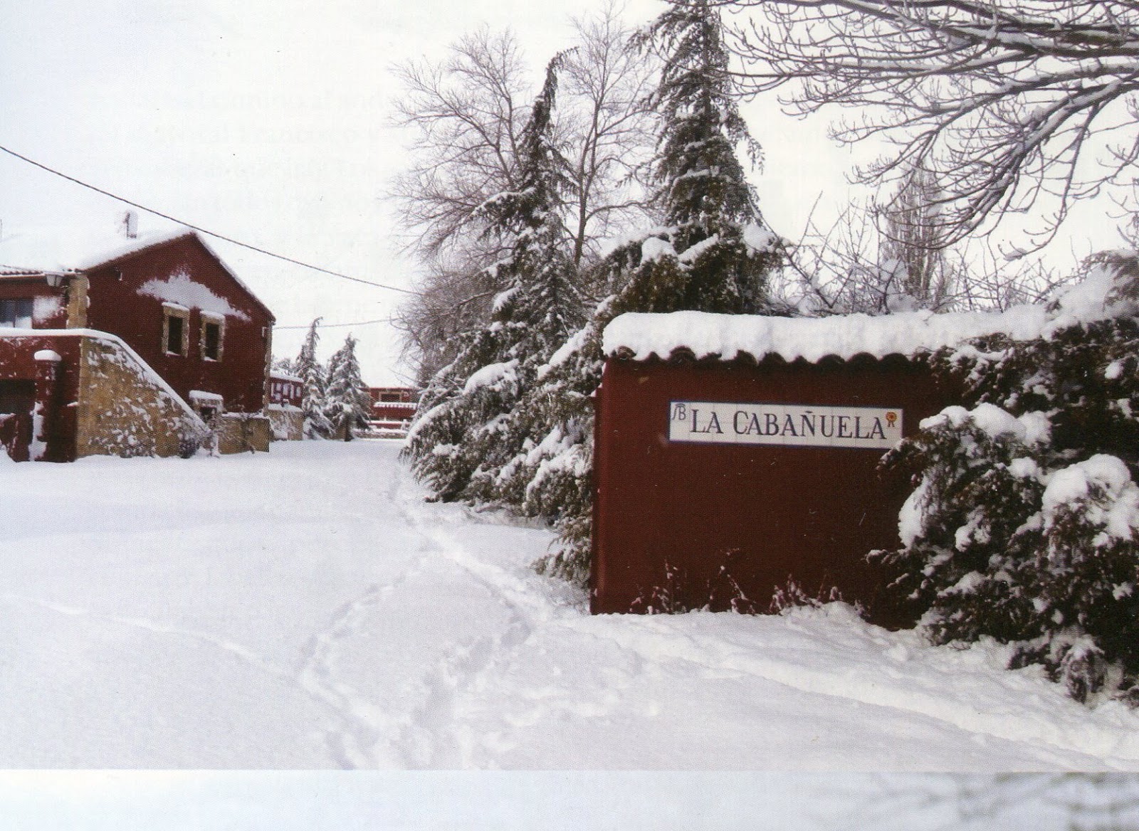 LOS COQUILLAS DE CIFUENTES ANTONIO BAÑUELOS