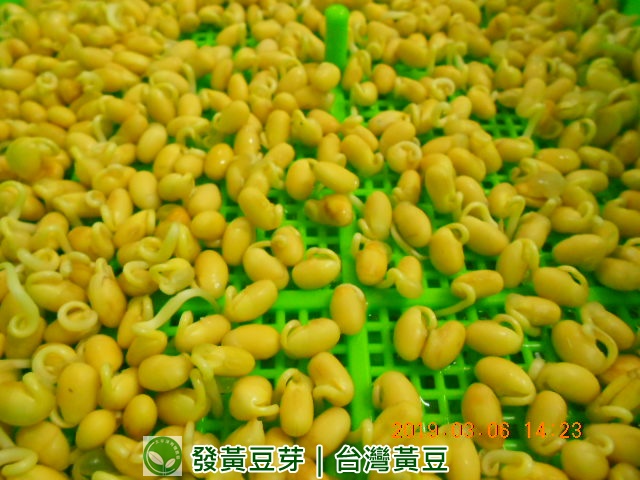 �����N�õo��