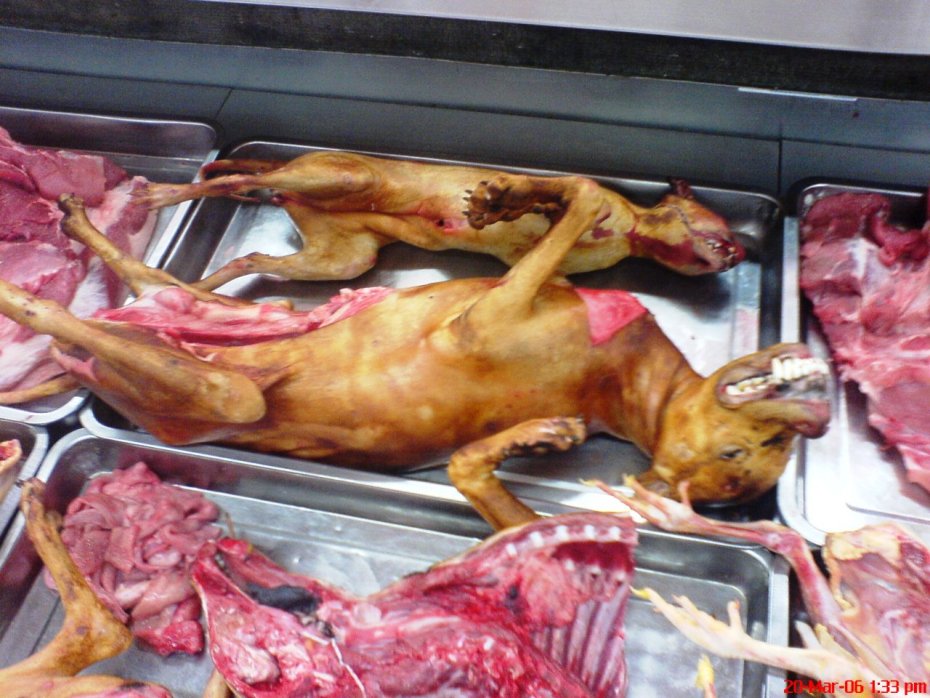 Cadáveres de aves, perros y gatos, a la venta en la carnicería de un supermercado en Beihai, China.