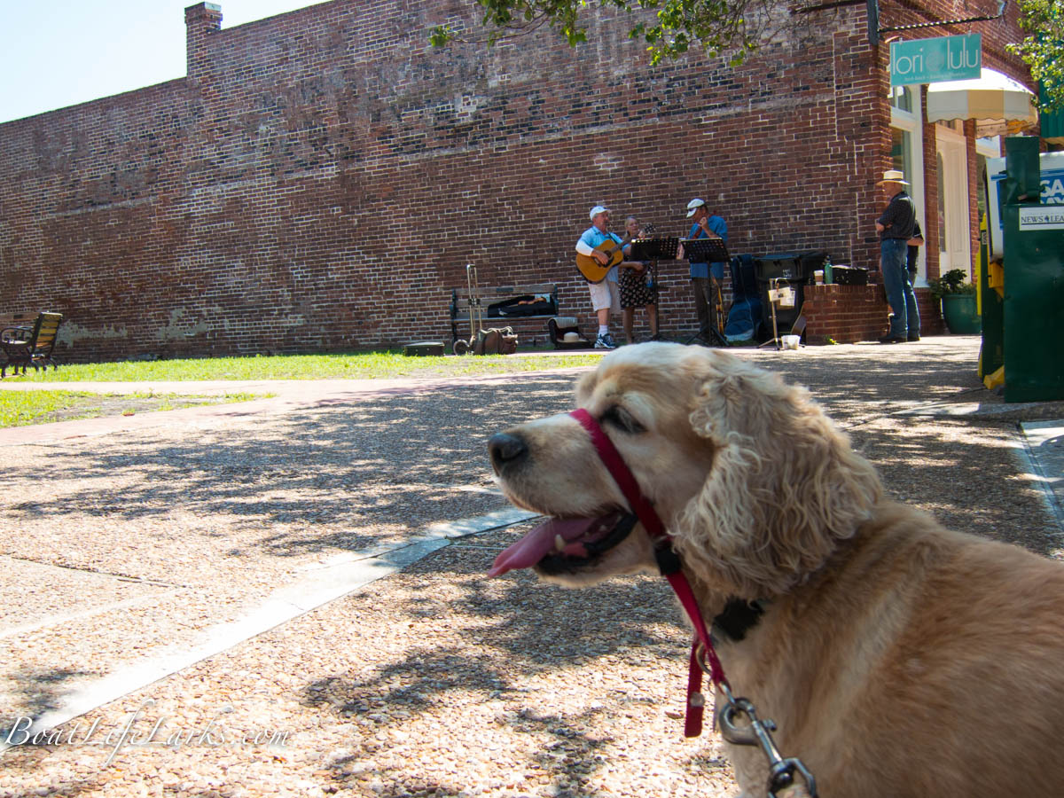 Dog Friendly Fernandina Beach, FL Boat Life Larks SV Dulcinea