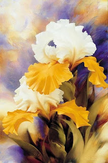 flor-iris-o-lirios-de-color-blanco-y-amarillo