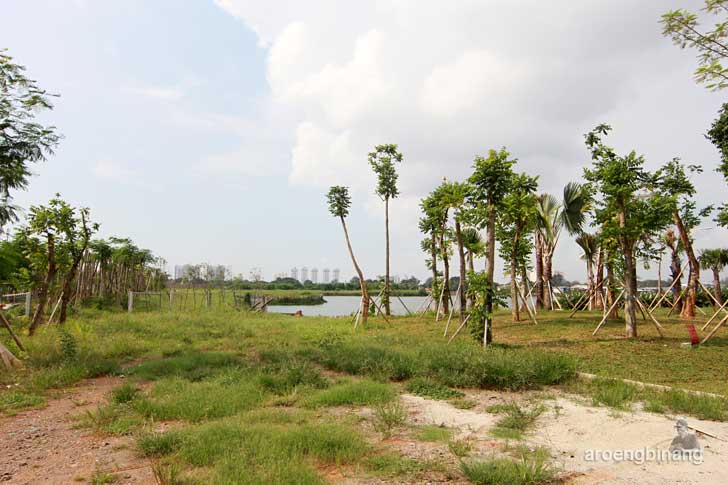 hutan kota taman kota ria rio jakarta