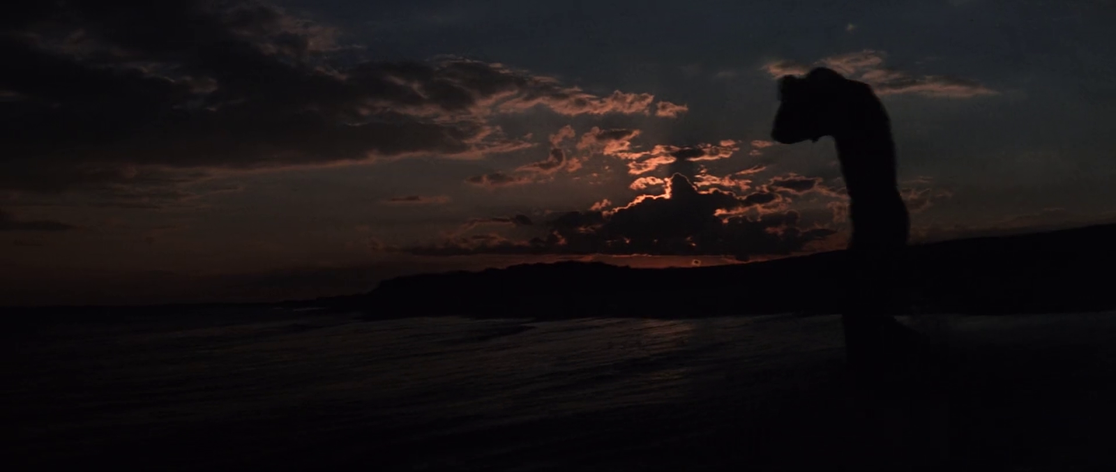 Jaws A Visual Essay on Why Continuity Doesn’t Matter And So It Begins...