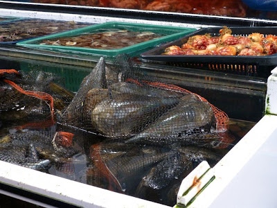 visite du marché Seogwipo Ile de Jeju Corée du sud visite du marché Seogwipo Ile de Jeju Corée du sud