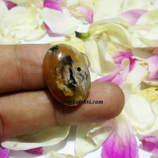 mustika khodam ampuh khodam suku dayak, khodam dayak, khodam dayang, batu mustika, mustika bertuah, pusak bertuah, barang koleksi, koleksi mustika, barang mistik,