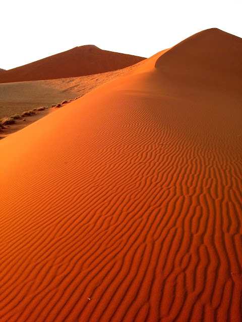 Sunrise catching the sandy waves of the dunes in Sossusvlei