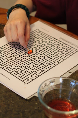 Water drop game with a printable maze.