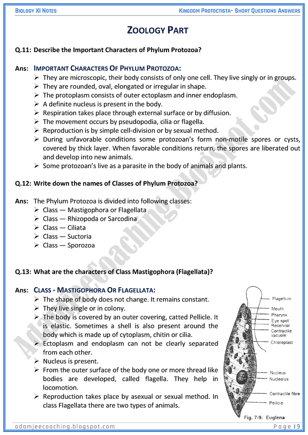 kingdom-protista-protoctista-short-question-answers-biology-11th