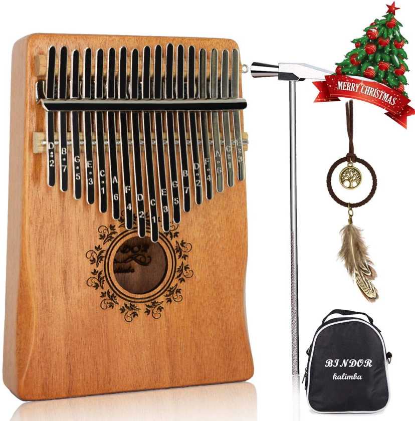 Musical InstrumentsThe Best Musical Instruments for kids and Adults beginners Social Media