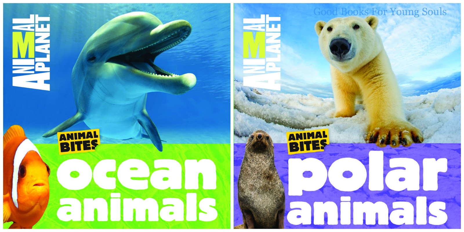Good Books For Young Souls: Giveaway: Two New Books from Animal Planet
