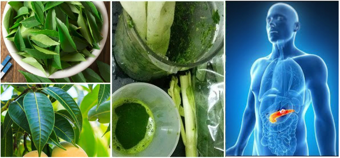 Regulate Your Blood Sugar With These Amazing Leaves Say Goodbye To