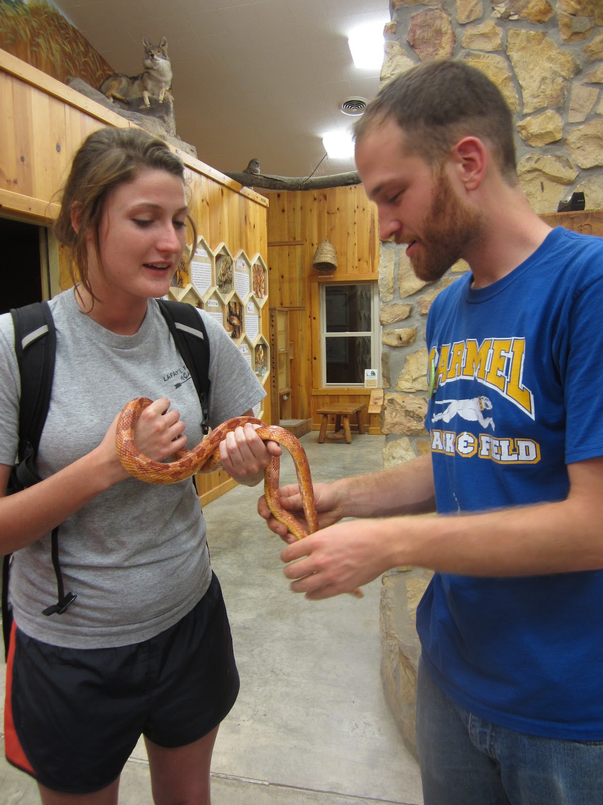 Overlap: "I mean Britney Spears held a snake, so I can hold a snake."