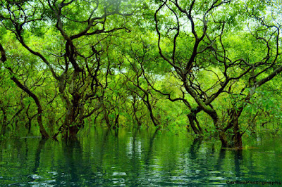 sylhet travel destination sylhet travel destination