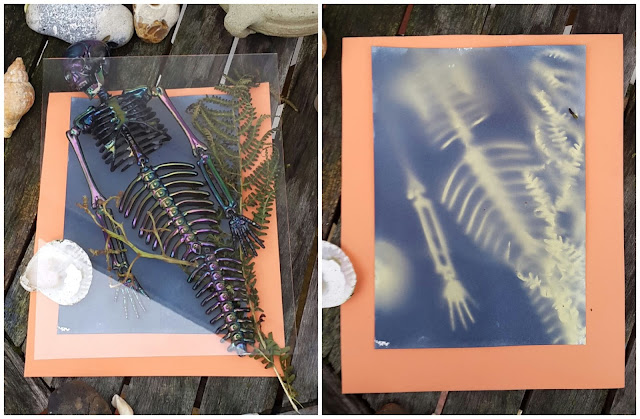 Whoopidooings: Carmen Wing - Experiments with Cyanotype on a Cloudy Day