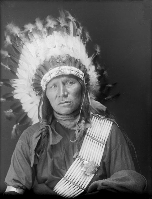 daily timewaster Bear Shield Oglala 1910