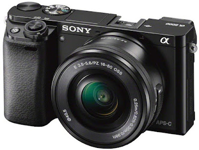 Sony Alpha 6000 (16-50 mm) negro