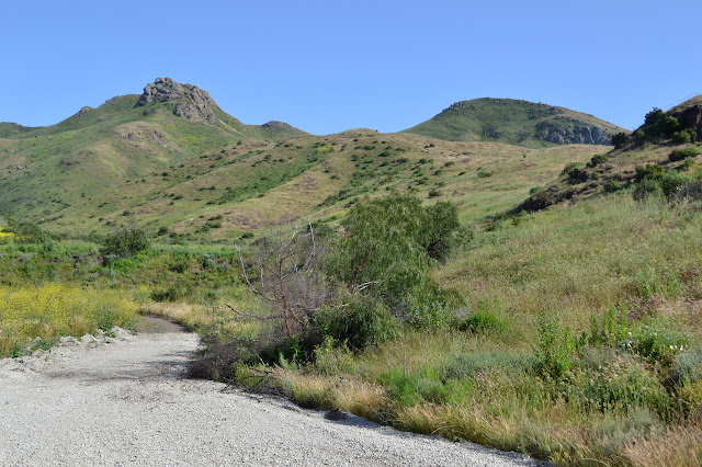 gravel road turning to dirt