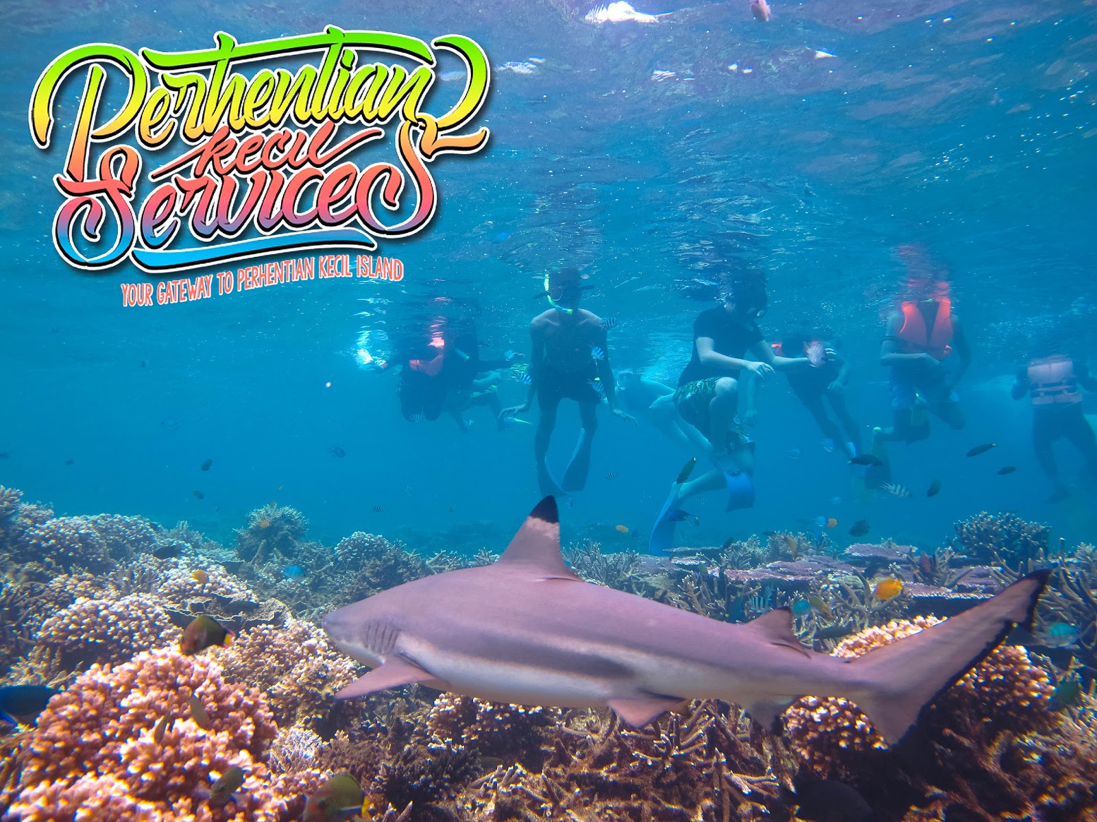 Pulau Perhentian Long Beach Package Pulau Perhentian Long Beach Package