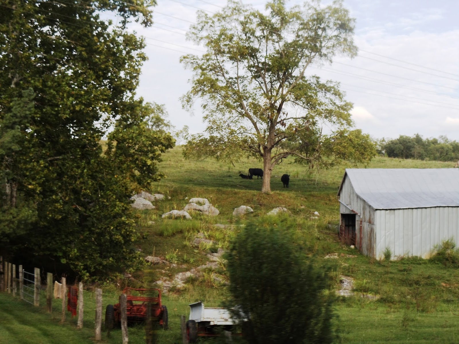 In photos Exploring picturesque Strasburg, Virginia Things to See