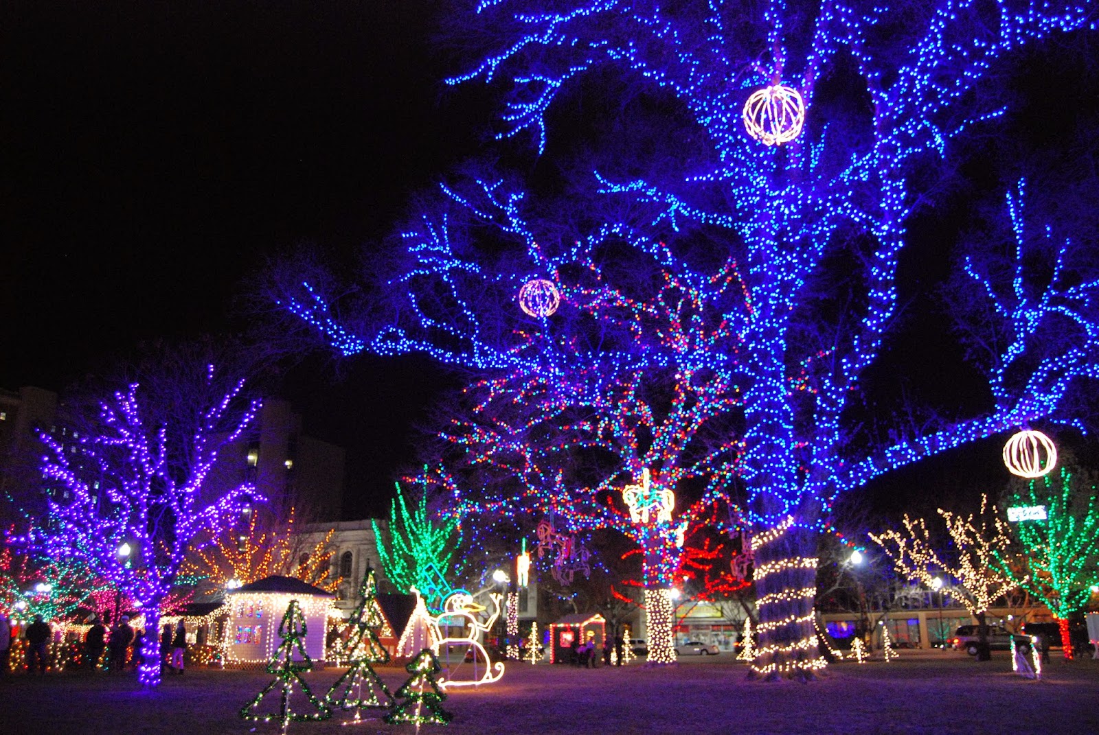 Jennie and Husband ogden lights!