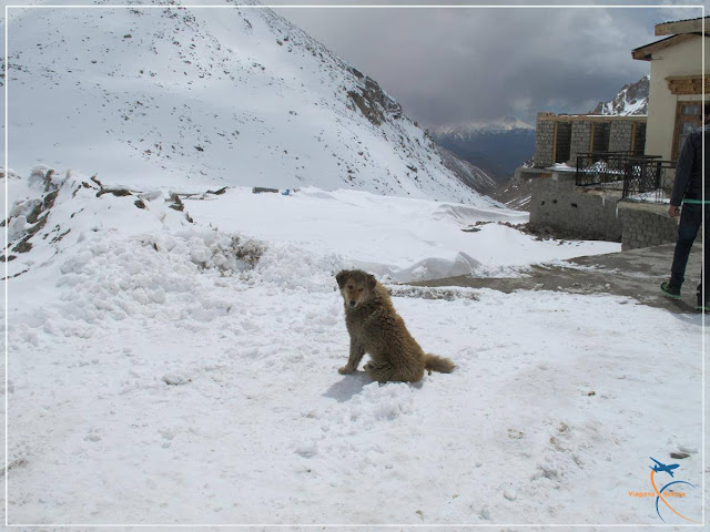 Chang La em Ladakh
