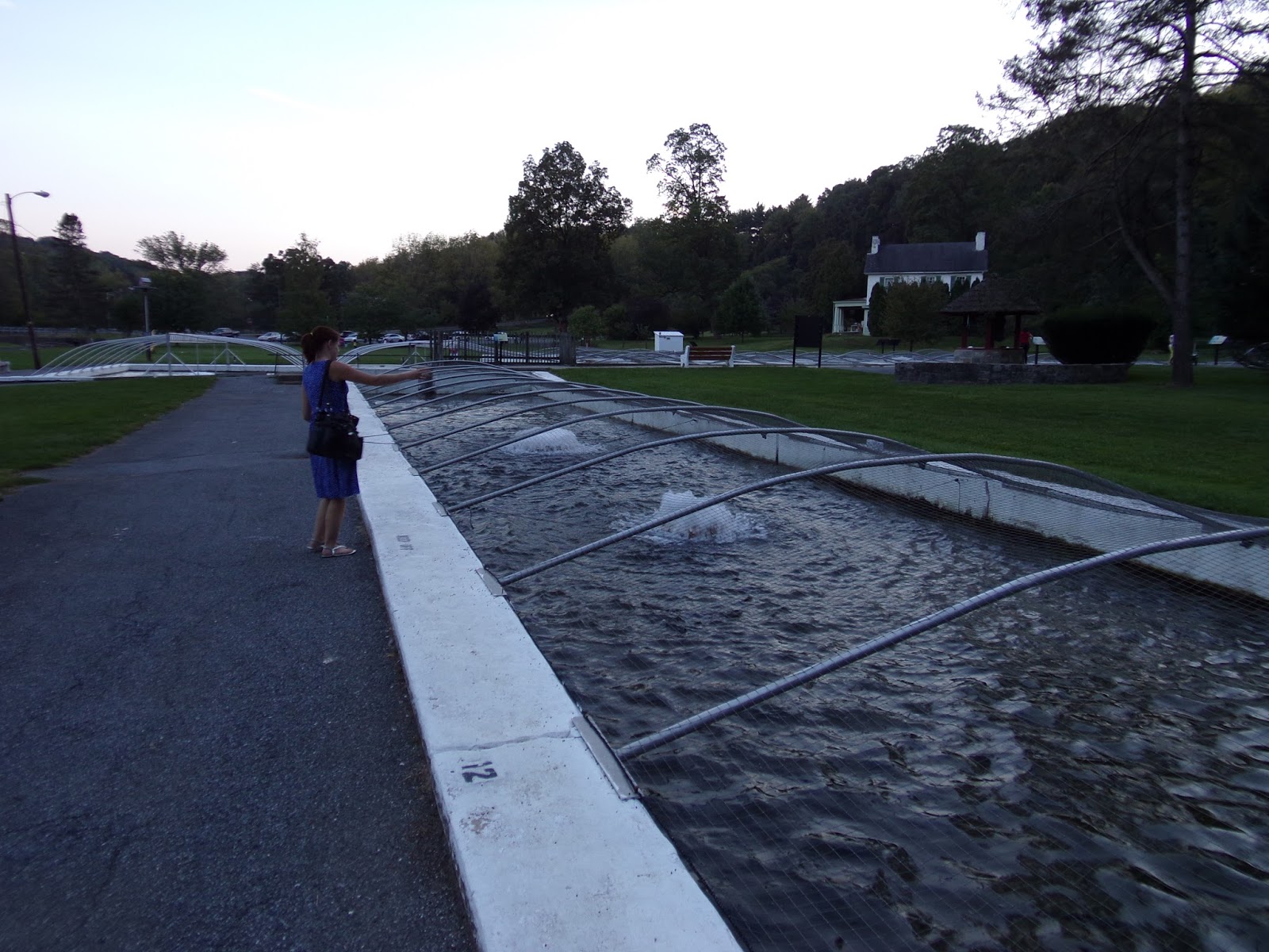 Allentown Lil' LeHi Trout Hatchery Interesting Pennsylvania and Beyond