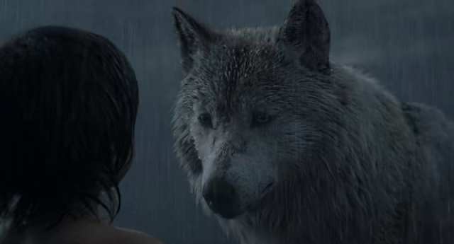 The Jungle Book 2016 Full Movie 300MB 700MB BRRip BluRay DVDrip DVDScr HDRip AVI MKV MP4 3GP Free Download pc movies The Jungle Book 2016 Full Movie 300MB 700MB BRRip BluRay DVDrip DVDScr HDRip AVI MKV MP4 3GP Free Download pc movies