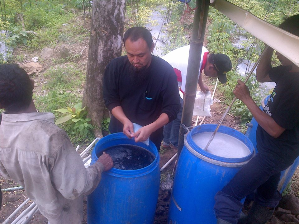 Panduan Cara Budidaya Karet,Pupuk Untuk Memperbanyak Getah