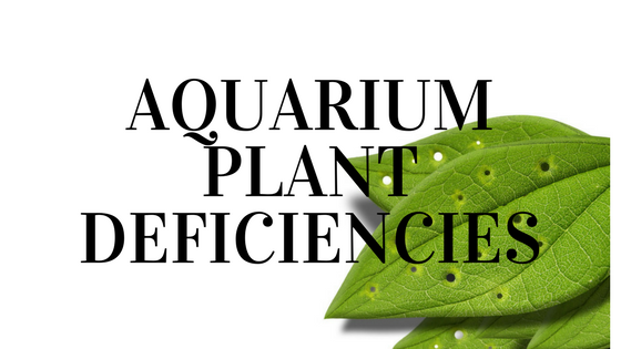 Aquarium Plant Deficiency Chart