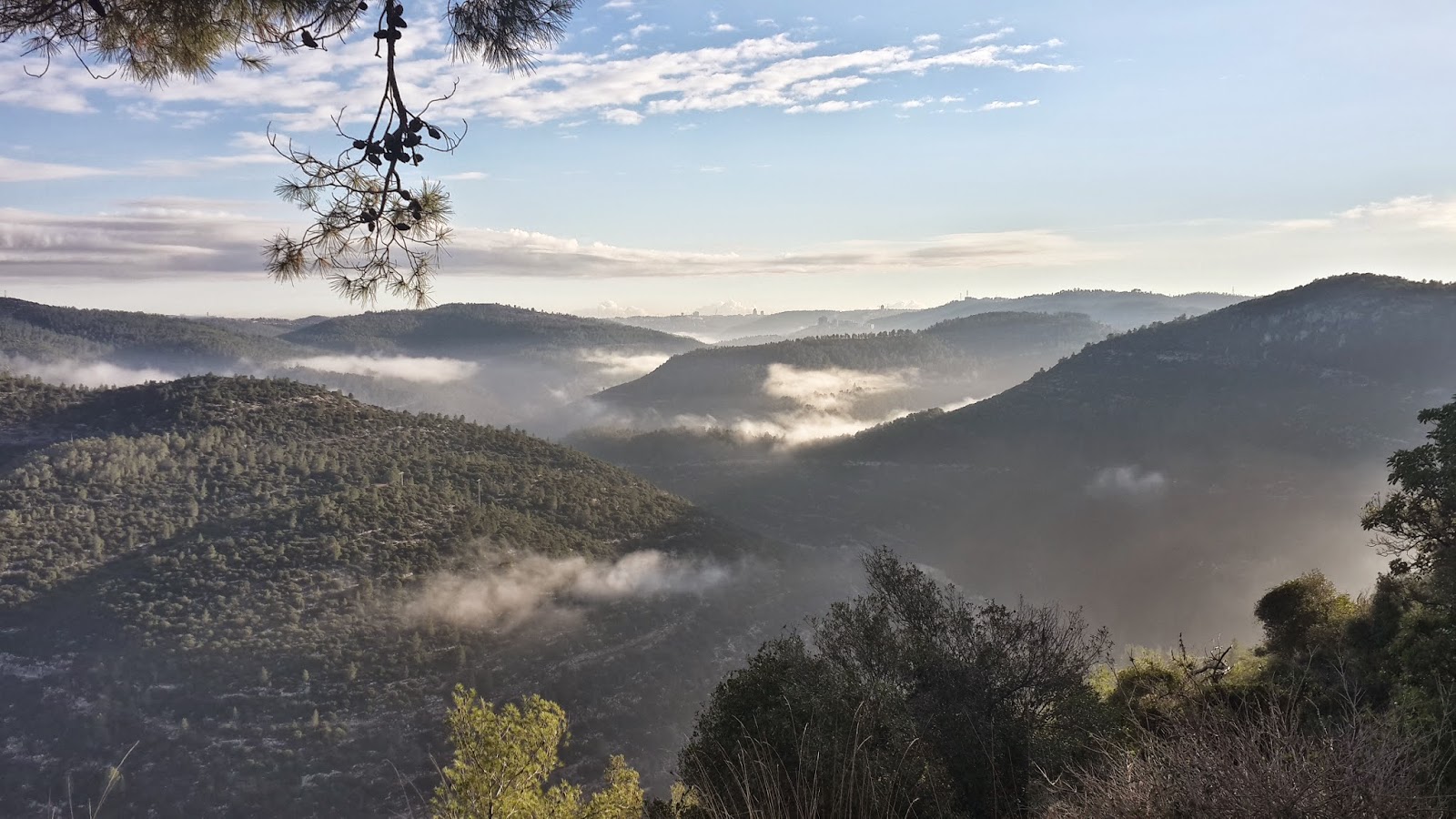 ущелье вади кельт. гора иудеев 4 букв. рельеф израиля горы. эрозия горных пород. высота горы хермон израиль.