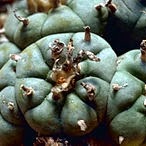 AC/DC band name meaning - Band Naming