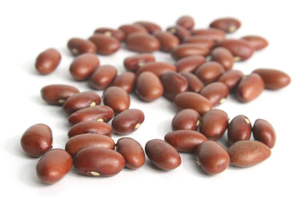 Some beans. Haricot Beans. Бобы на белом фоне. Бобы на прозрачном фоне. Beans Натанг.