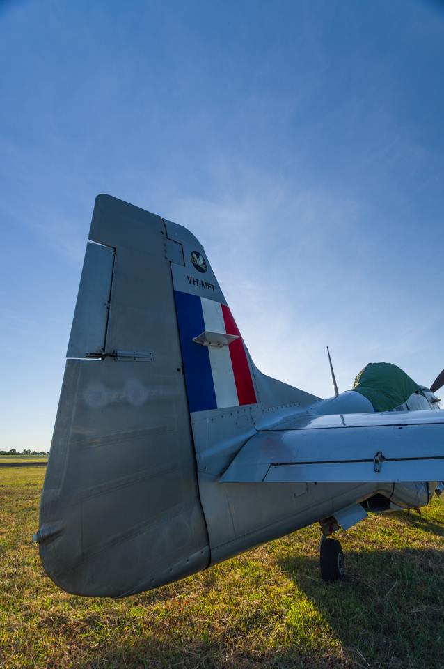 Air Queensland.blogspot "Snifter" the Mustang captured at Mackay Airport