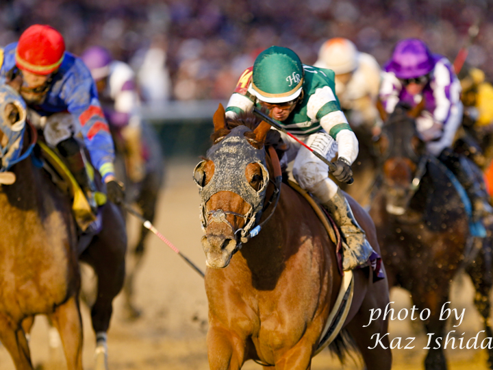 Horse Photograph ブリーダーズカップ Horse Photograph ブリーダーズカップ