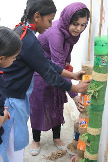 Crops In Pots: Reuse, Recycle and Produce: Bottle Gardening in Karachi