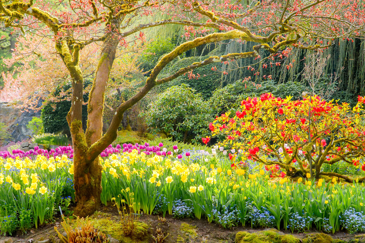 POEMAS PARA LA MUJER: POEMAS CORTOS DE PRIMAVERA