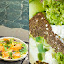 The Dining Room - Park Hyatt, Velachery - 5 by 5 healthy week
