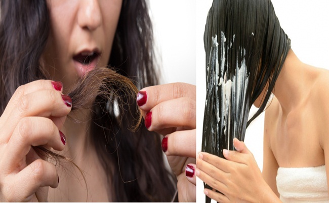 Tratamento Caseiro para Cabelo Danificado Tratamento Caseiro para Cabelo Danificado